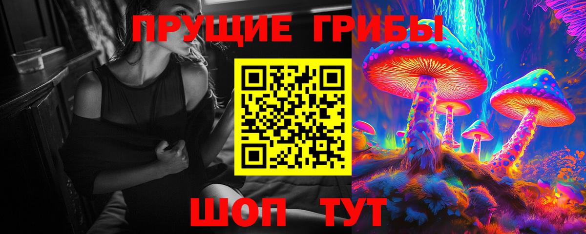 Псилоцибиновые грибы Psilocybe  Вход с VPN  Гулькевичи 
